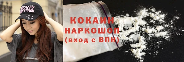 крисы Козловка