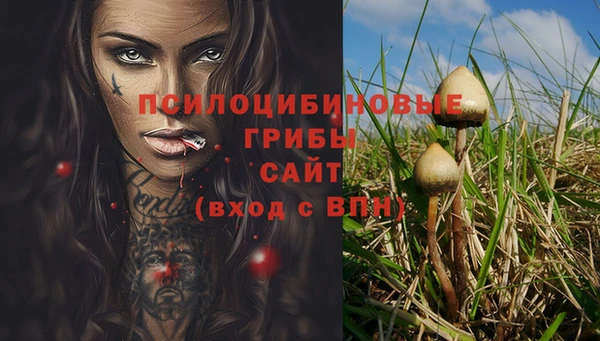 крисы Козловка