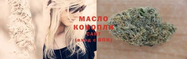 дмт Туринск