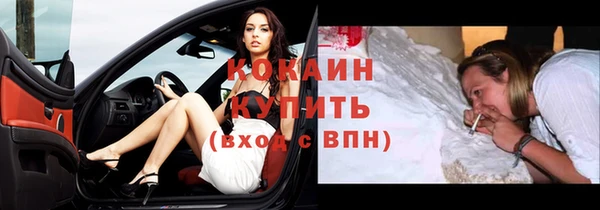крисы Козловка