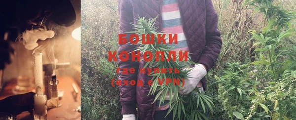 первитин Козельск