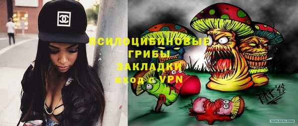 крисы Козловка