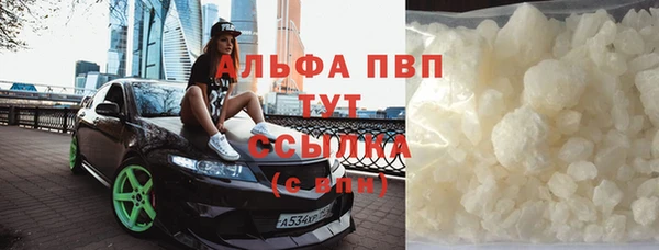 крисы Козловка
