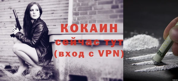крисы Козловка
