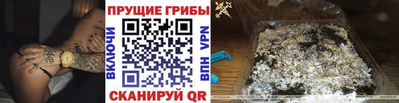 Галлюциногенные грибы мухоморы  Купить  Дагестанские Огни 