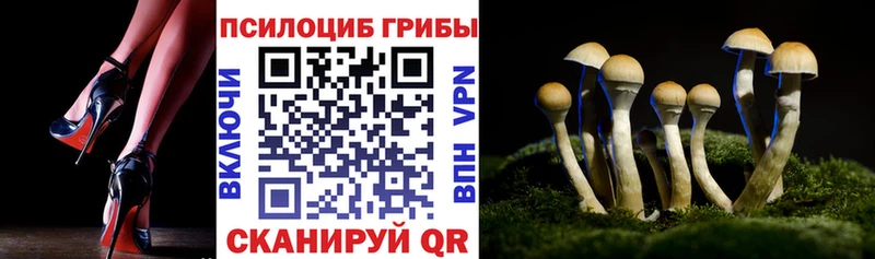 Псилоцибиновые грибы ЛСД Дагестанские Огни